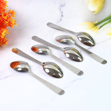 Stainless Steel Table Spoons Set of 6