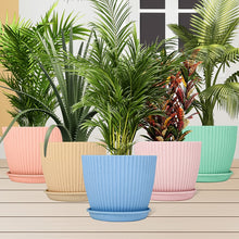 Round Flower Pot with Bottom Tray (5 Pcs Set / Small / 14×16 Cm)