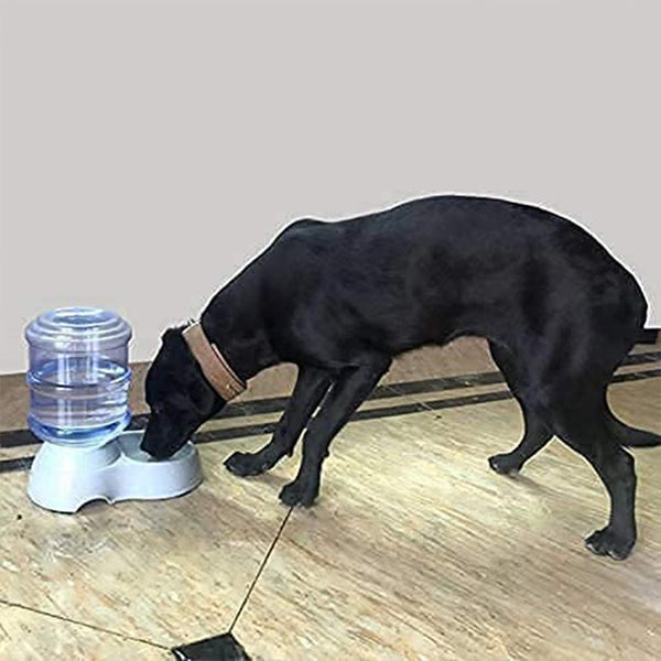 Automatic Pet Water Dispenser, Food Storage Bottle